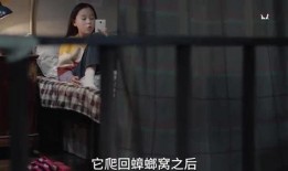 丁姐爆料视频大全集最新,揭秘娱乐圈不为人知的秘密